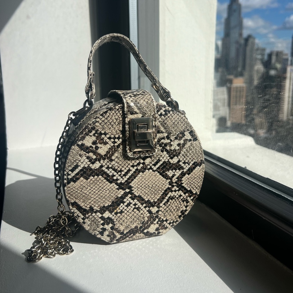 Zara Snakeskin Small Hand Bag